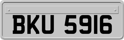 BKU5916