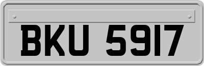 BKU5917