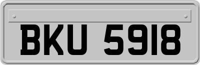 BKU5918