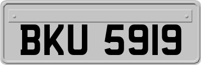 BKU5919