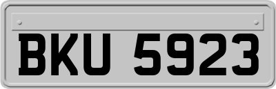 BKU5923