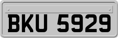 BKU5929