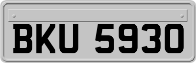 BKU5930
