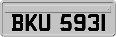 BKU5931