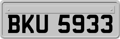 BKU5933