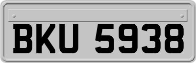 BKU5938