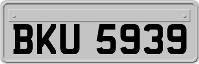 BKU5939