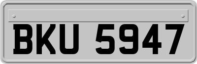 BKU5947