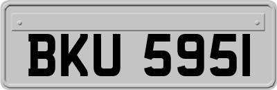 BKU5951
