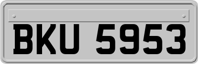 BKU5953