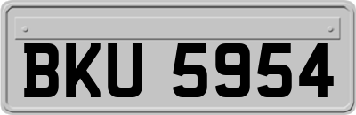 BKU5954