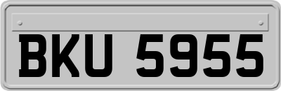 BKU5955