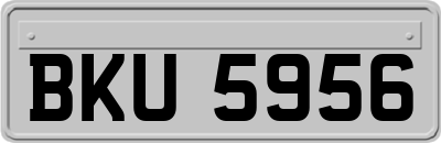 BKU5956