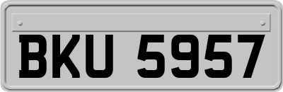 BKU5957