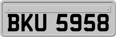 BKU5958