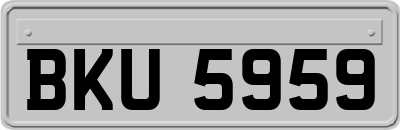 BKU5959