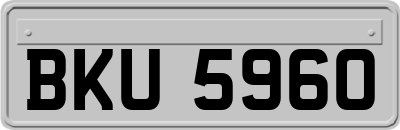 BKU5960