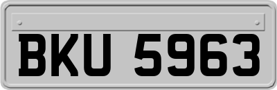 BKU5963