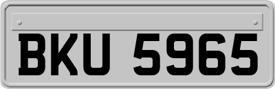 BKU5965