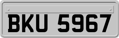 BKU5967