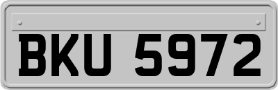 BKU5972