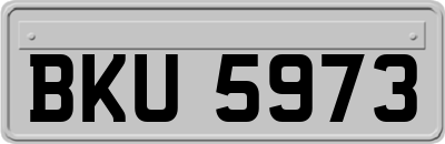 BKU5973