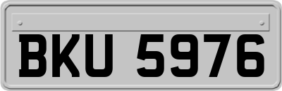 BKU5976