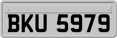 BKU5979
