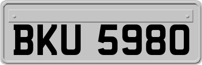 BKU5980