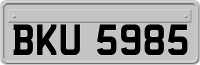 BKU5985