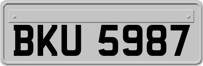 BKU5987
