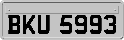 BKU5993