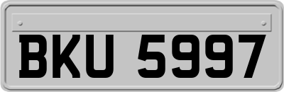 BKU5997