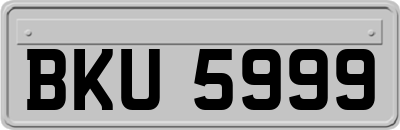BKU5999