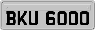 BKU6000