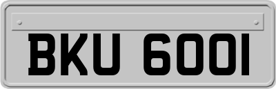 BKU6001