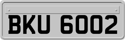 BKU6002