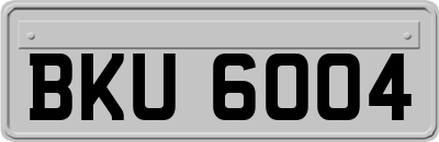 BKU6004