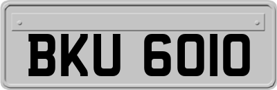 BKU6010