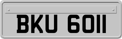 BKU6011