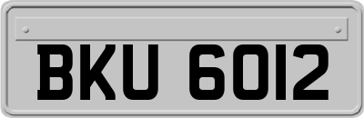 BKU6012