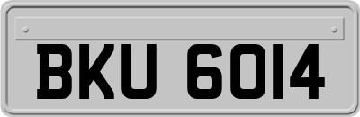 BKU6014