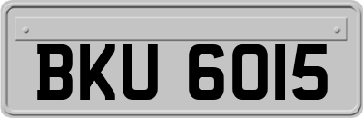 BKU6015