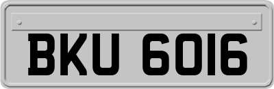 BKU6016