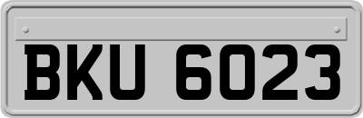 BKU6023