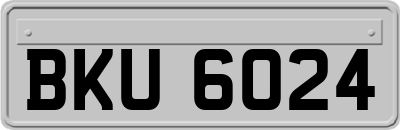 BKU6024