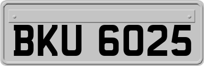 BKU6025