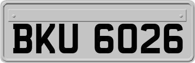 BKU6026