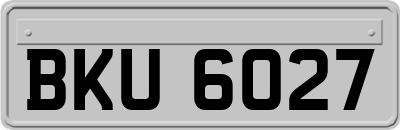 BKU6027