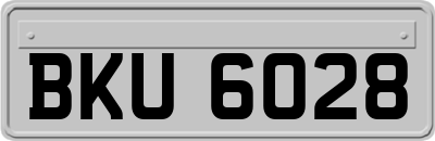 BKU6028